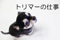 トリマーの仕事